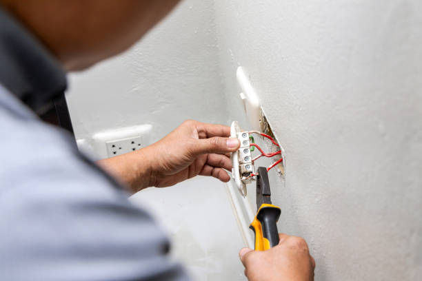 Best Electric Panel Repair  in Ilion, NY